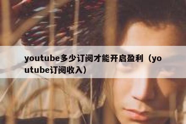 youtube多少订阅才能开启盈利（youtube订阅收入） 第1张