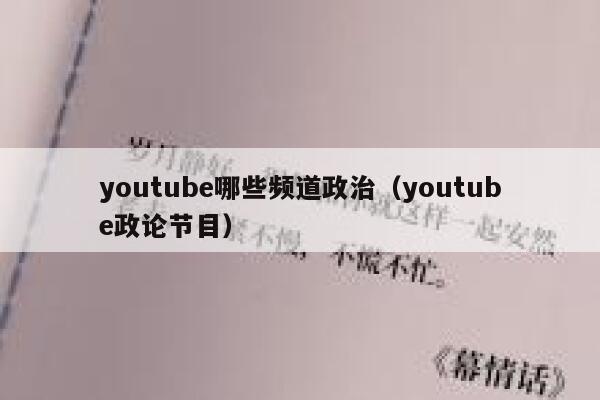 youtube哪些频道政治（youtube政论节目） 第1张