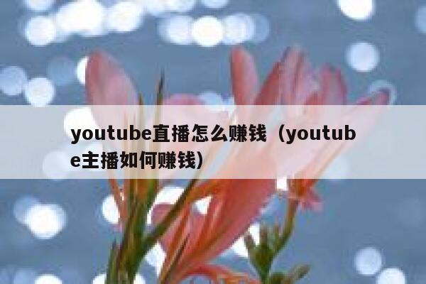 youtube直播怎么赚钱（youtube主播如何赚钱） 第1张