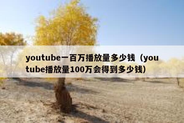 youtube一百万播放量多少钱（youtube播放量100万会得到多少钱） 第1张