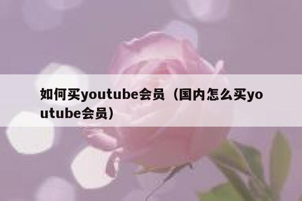 如何买youtube会员（国内怎么买youtube会员） 第1张