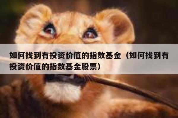 如何找到有投资价值的指数基金（如何找到有投资价值的指数基金股票） 第1张