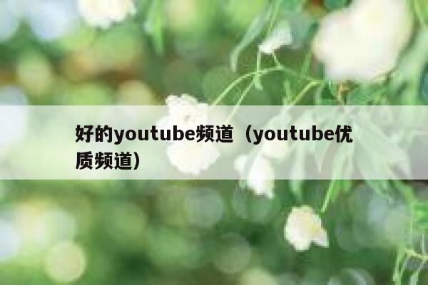 好的youtube频道（youtube优质频道） 第1张