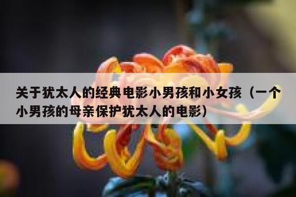 关于犹太人的经典电影小男孩和小女孩（一个小男孩的母亲保护犹太人的电影） 第1张