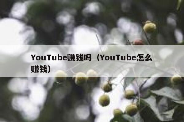YouTube赚钱吗（YouTube怎么赚钱） 第1张