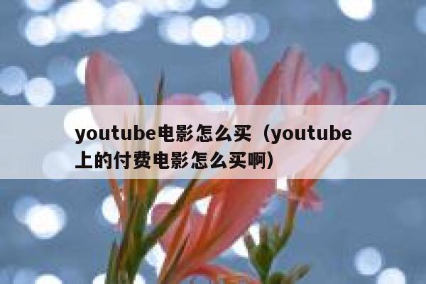 youtube电影怎么买（youtube上的付费电影怎么买啊） 第1张