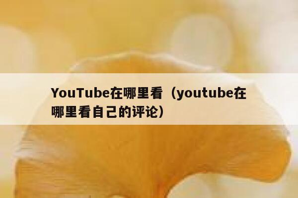 YouTube在哪里看（youtube在哪里看自己的评论） 第1张