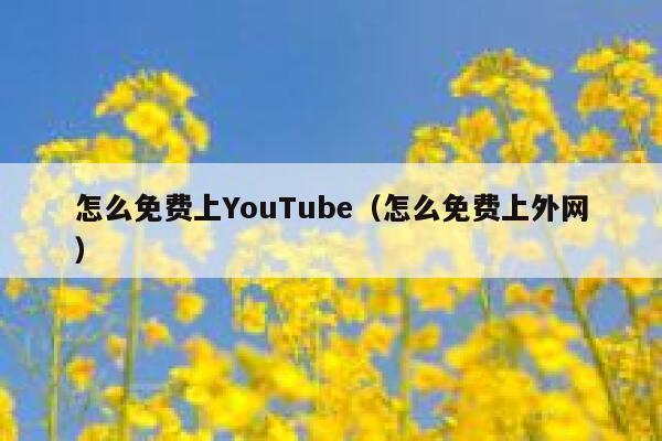 怎么免费上YouTube（怎么免费上外网） 第1张