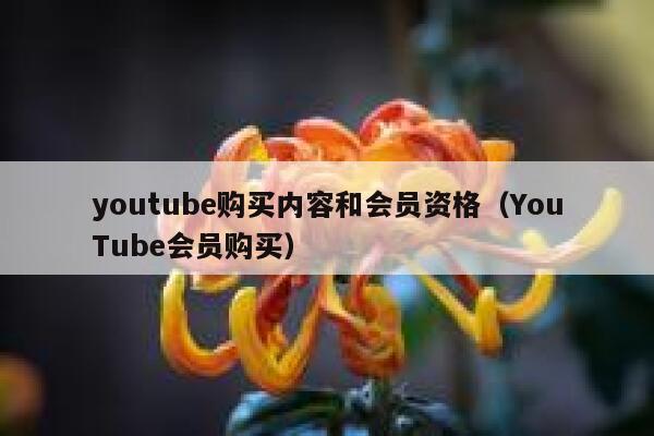 youtube购买内容和会员资格(YouTube会员购买) 第1张 youtube购买内容和会员资格(YouTube会员购买) 第1张