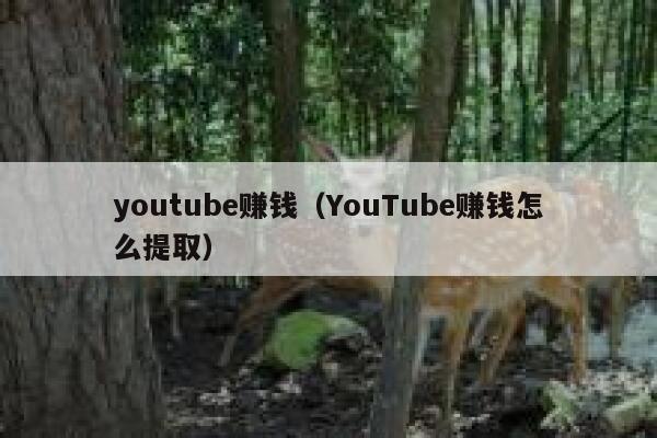 youtube赚钱(YouTube赚钱怎么提取) 第1张 youtube赚钱(YouTube赚钱怎么提取) 第1张