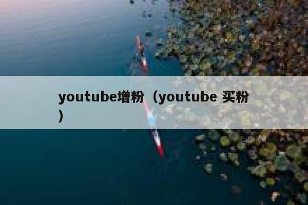 youtube增粉（youtube 买粉） 第1张