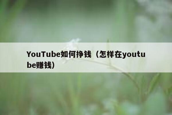 YouTube如何挣钱（怎样在youtube赚钱） 第1张