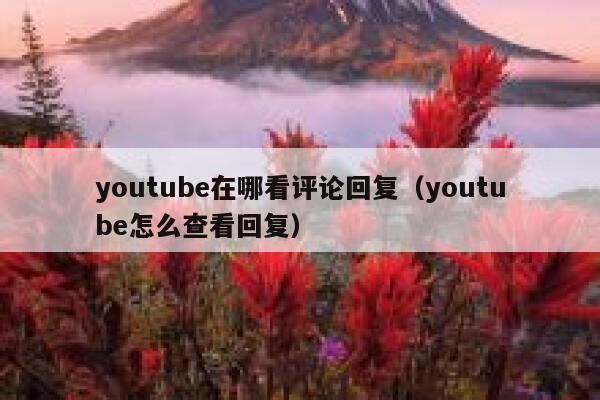youtube在哪看评论回复（youtube怎么查看回复） 第1张