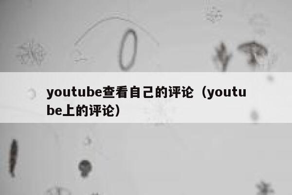 youtube查看自己的评论（youtube上的评论） 第1张