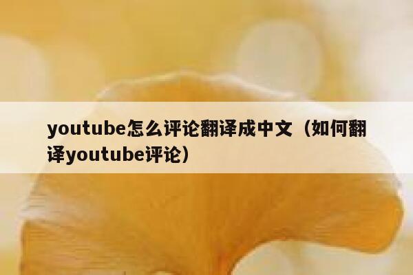 youtube怎么评论翻译成中文(如何翻译youtube评论) 第1张 youtube怎么评论翻译成中文(如何翻译youtube评论) 第1张