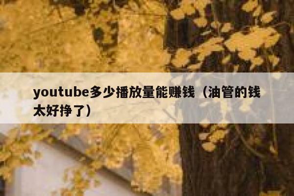 youtube多少播放量能赚钱（油管的钱太好挣了） 第1张