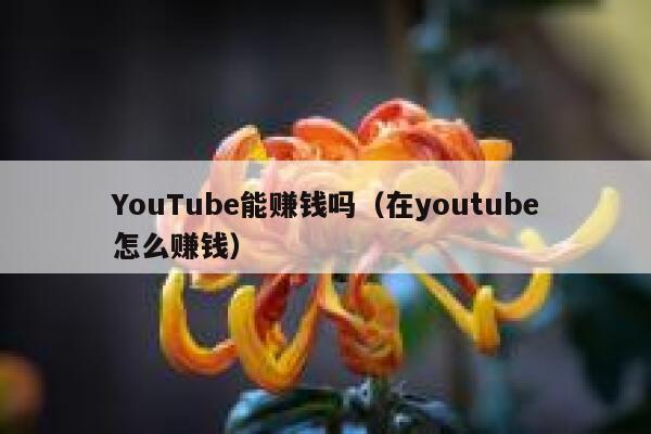 YouTube能赚钱吗（在youtube怎么赚钱） 第1张