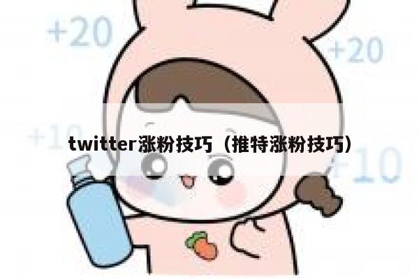 twitter涨粉技巧（推特涨粉技巧） 第1张