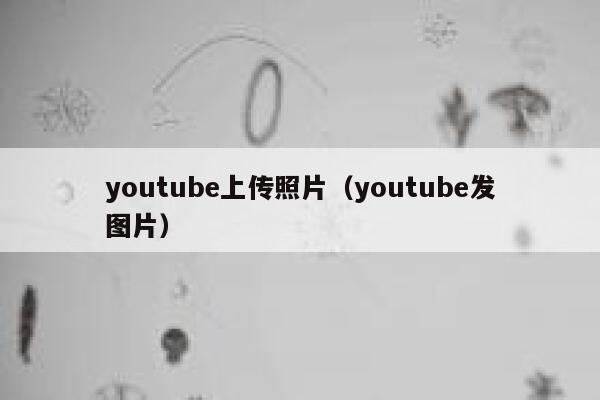 youtube上传照片(youtube发图片) 第1张 youtube上传照片(youtube发图片) 第1张