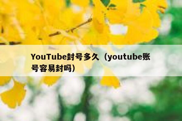 YouTube封号多久（youtube账号容易封吗） 第1张