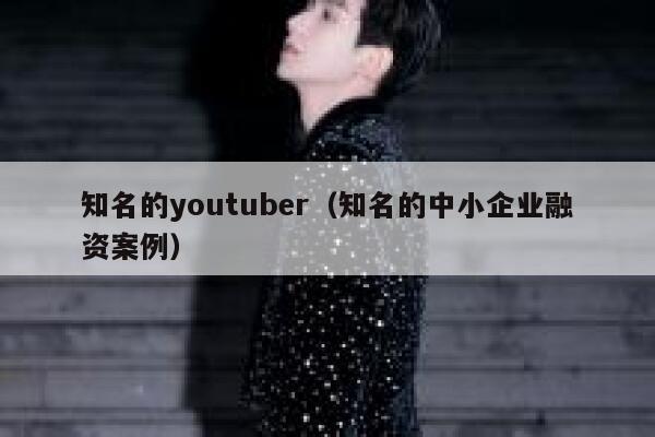 知名的youtuber（知名的中小企业融资案例） 第1张