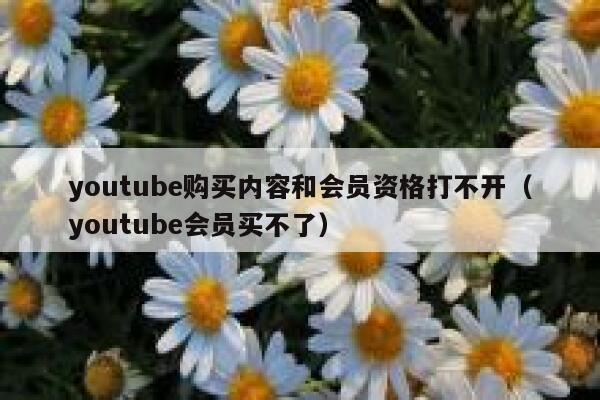 youtube购买内容和会员资格打不开（youtube会员买不了） 第1张
