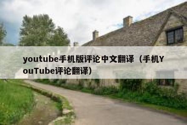 youtube手机版评论中文翻译（手机YouTube评论翻译） 第1张