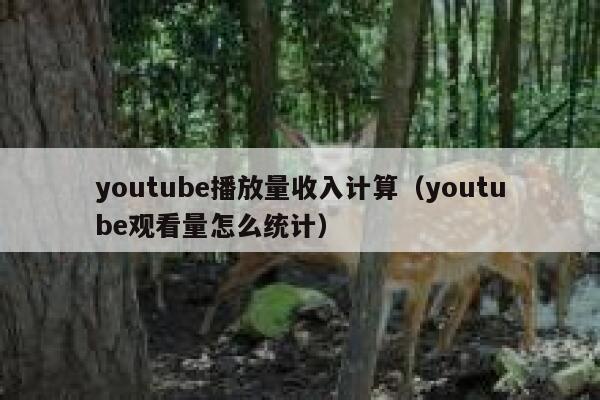 youtube播放量收入计算（youtube观看量怎么统计） 第1张