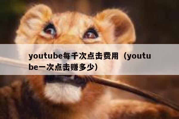 youtube每千次点击费用（youtube一次点击赚多少） 第1张