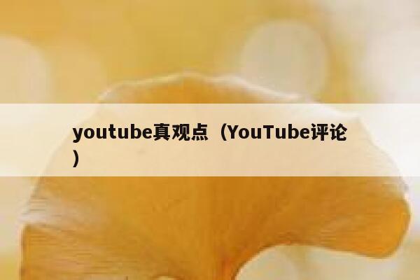 youtube真观点（YouTube评论） 第1张