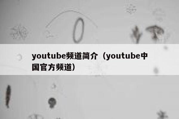 youtube频道简介（youtube中国官方频道） 第1张