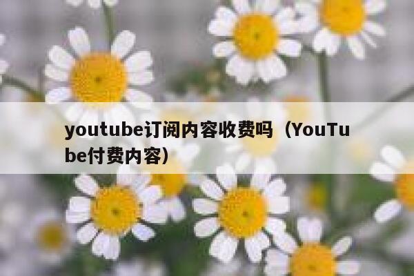 youtube订阅内容收费吗（YouTube付费内容） 第1张