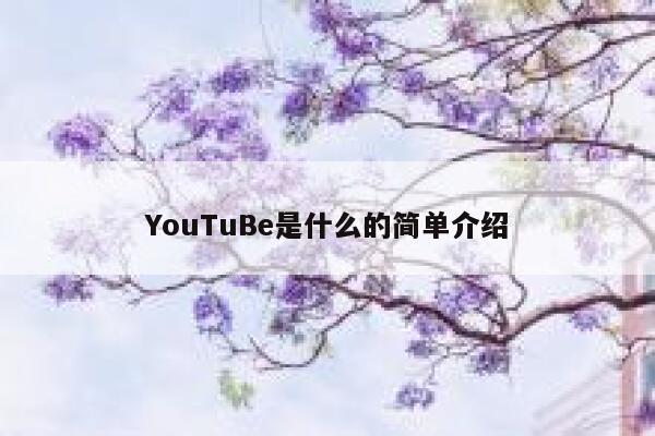 YouTuBe是什么的简单介绍 第1张 YouTuBe是什么的简单介绍 第1张