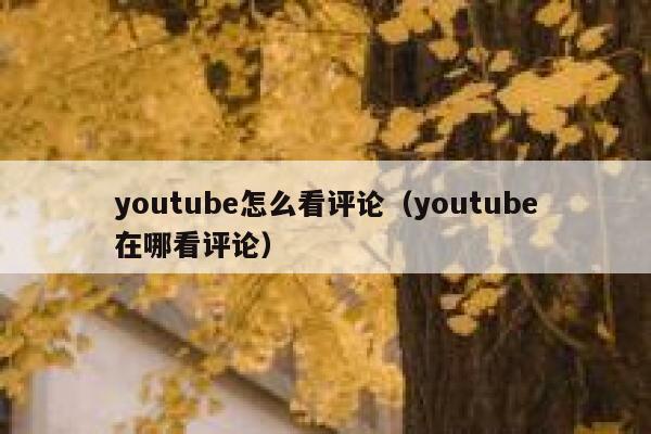 youtube怎么看评论（youtube在哪看评论） 第1张