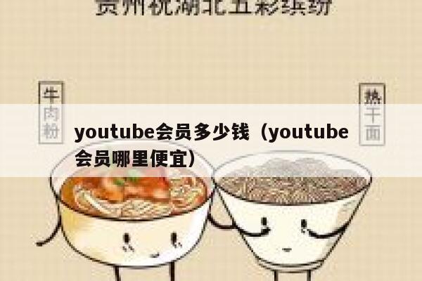 youtube会员多少钱（youtube会员哪里便宜） 第1张