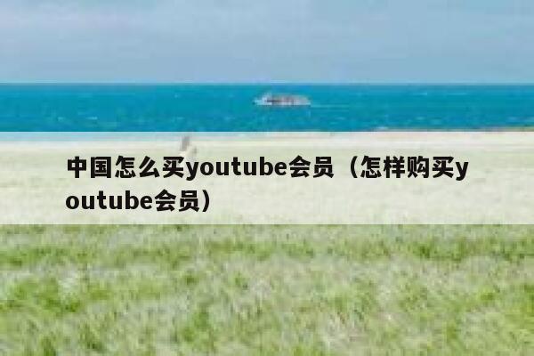 中国怎么买youtube会员（怎样购买youtube会员） 第1张