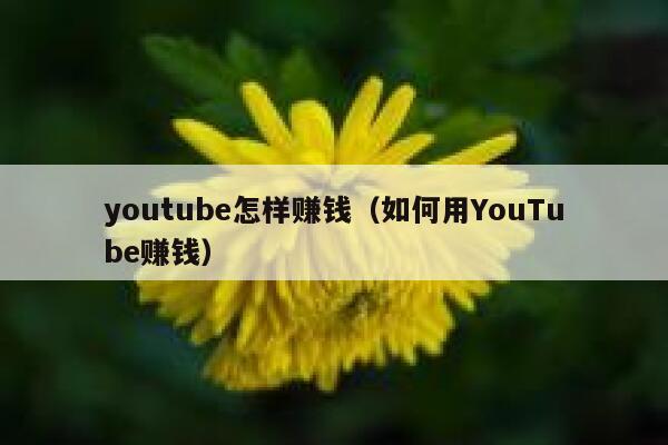 youtube怎样赚钱（如何用YouTube赚钱） 第1张