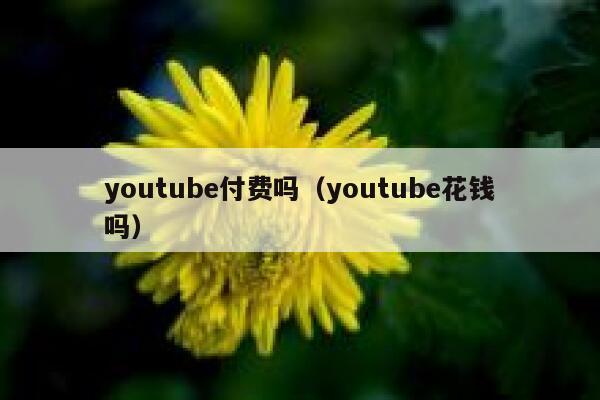 youtube付费吗（youtube花钱吗） 第1张
