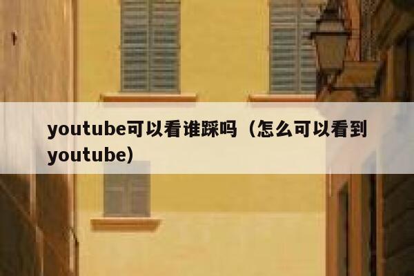 youtube可以看谁踩吗（怎么可以看到youtube） 第1张
