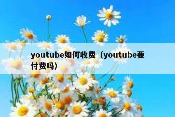 youtube如何收费（youtube要付费吗） 第1张