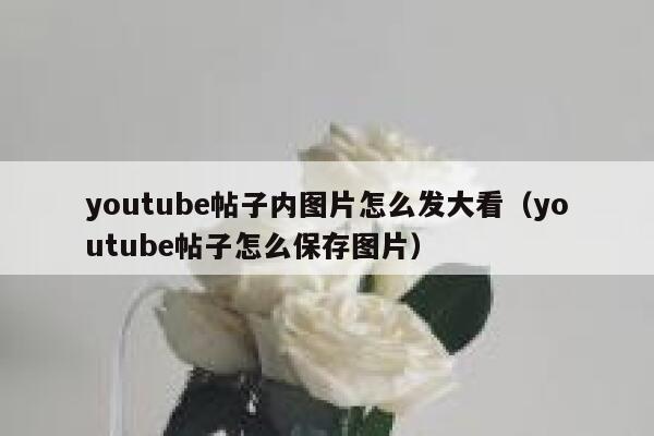 youtube帖子内图片怎么发大看（youtube帖子怎么保存图片） 第1张
