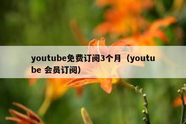 youtube免费订阅3个月（youtube 会员订阅） 第1张