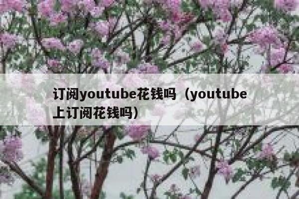 订阅youtube花钱吗（youtube上订阅花钱吗） 第1张