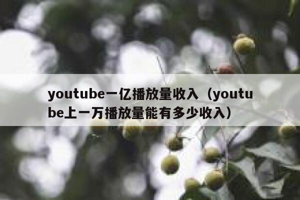 youtube一亿播放量收入（youtube上一万播放量能有多少收入） 第1张