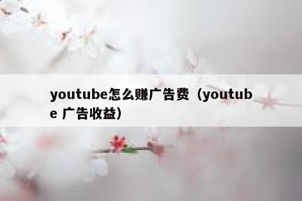 youtube怎么赚广告费（youtube 广告收益） 第1张