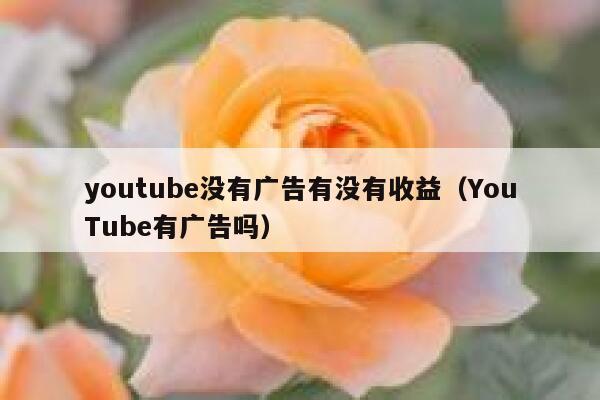 youtube没有广告有没有收益（YouTube有广告吗） 第1张