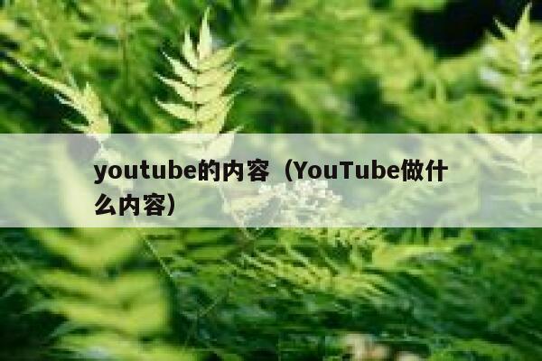 youtube的内容（YouTube做什么内容） 第1张