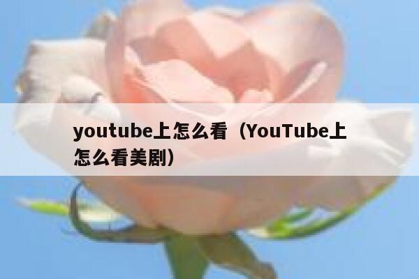 youtube上怎么看（YouTube上怎么看美剧） 第1张