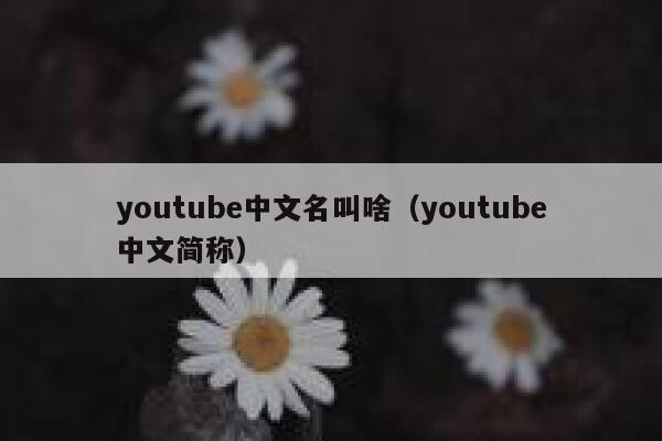 youtube中文名叫啥(youtube中文简称) 第1张 youtube中文名叫啥(youtube中文简称) 第1张