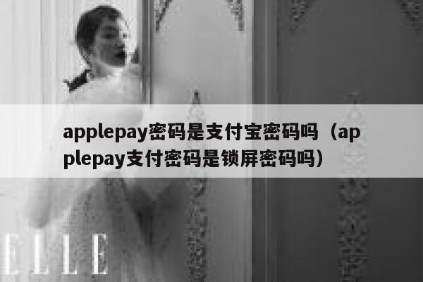 applepay密码是支付宝密码吗（applepay支付密码是锁屏密码吗） 第1张
